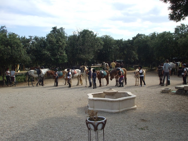  El patio del club 
